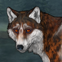 T2 Merle Fox-Husky Headshot