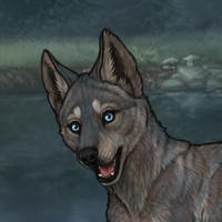 Pup - Nocturne Tier II Headshot