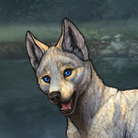 Azith reserve Headshot