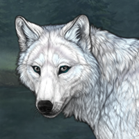 Tundra Headshot