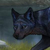 BLUESCHIST Headshot