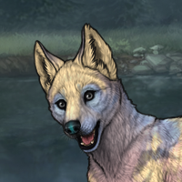 T3 beige base Headshot