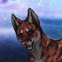 Enclave Pup Headshot