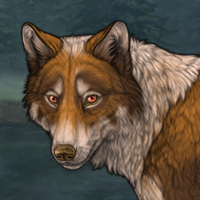 Wolf Headshot