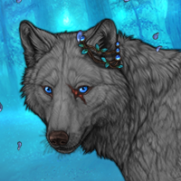 Wolf Headshot