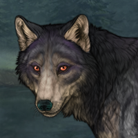 Lykoi Headshot