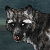 G2 Biotite 8M HUSKY Headshot