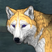 Dispersal wolf (giveaway) Headshot