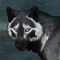 Skoll Headshot