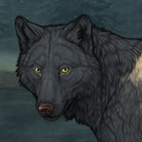 Wolf Headshot