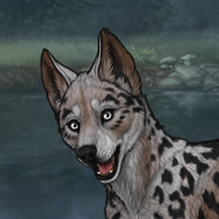 Leopard Headshot