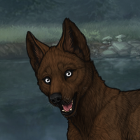 Enclave Pup Headshot