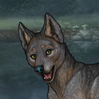 Silverhowl Headshot