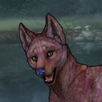 Blueschist Headshot