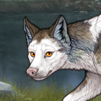 Piebald Frontal M Headshot