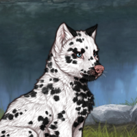 G3 Dalmatian 150291 Headshot