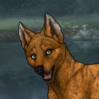 ((Pup))Sell Headshot