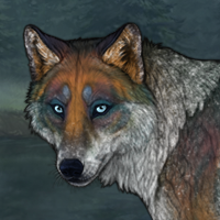 Anywolf Headshot