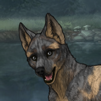 New Puppy Headshot
