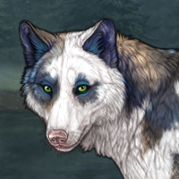 Ugly piebald #2 Headshot