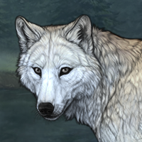 Wolf Headshot