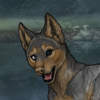 CoyoteStomp Headshot