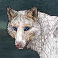 Piebald bewer Headshot