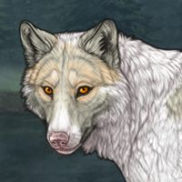 Piebald M Headshot