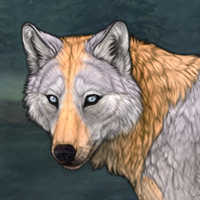 C/6M T2 Husky Headshot