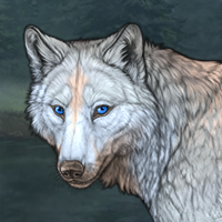 Wolf Headshot