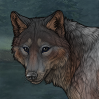 Greyback Headshot