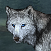 Wolf Headshot