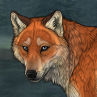 Vulpes Headshot