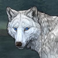 Wolf Headshot