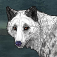 Snowpelt Headshot