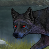 For Wolfkin Headshot