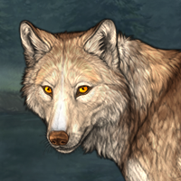 Wolf Headshot