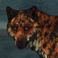 Loveling Headshot