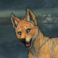 saffron foxnbw Headshot