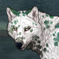 f sto dalmatian Headshot