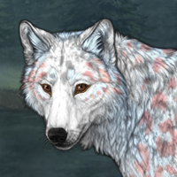 Kassuq (Drifting Ice) Headshot