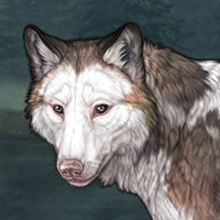 Feldspar-smoke-frontal-8m Headshot