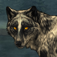 Wolf Headshot