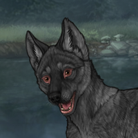 Darkpaw Headshot