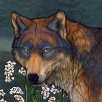 Fox borealis 🕯 Headshot