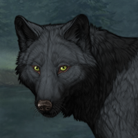 Wolf Headshot