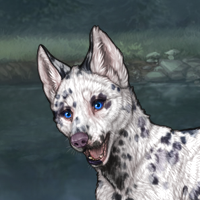 DALMATIAN merle Headshot