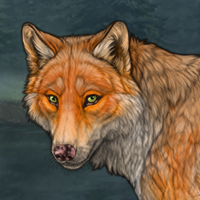 Dingo Fur Headshot