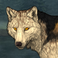 Wolf Headshot