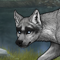 Akhlut Inverted husky Headshot